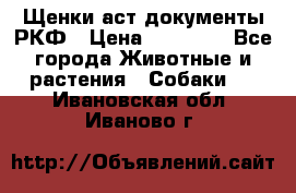 Щенки аст документы РКФ › Цена ­ 15 000 - Все города Животные и растения » Собаки   . Ивановская обл.,Иваново г.